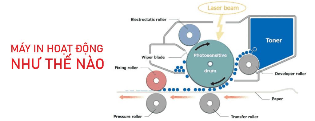 Máy In Hoạt Động Như Thế Nào