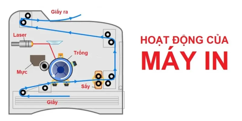 Nguyên Lý Hoạt Động Của Máy In