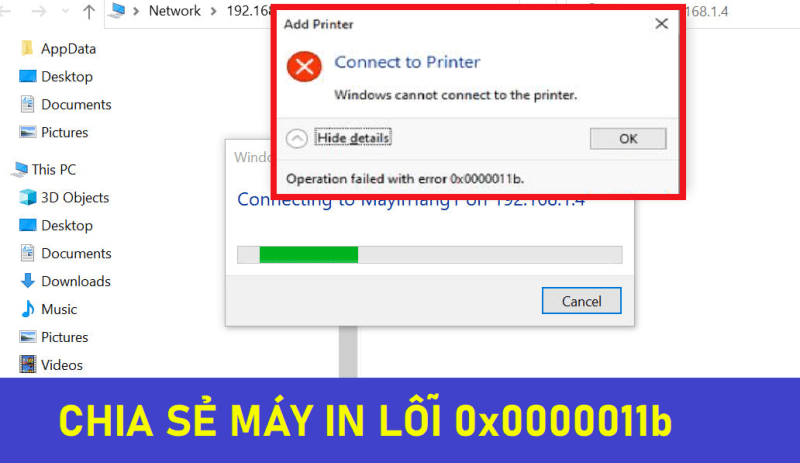 0X0000011B