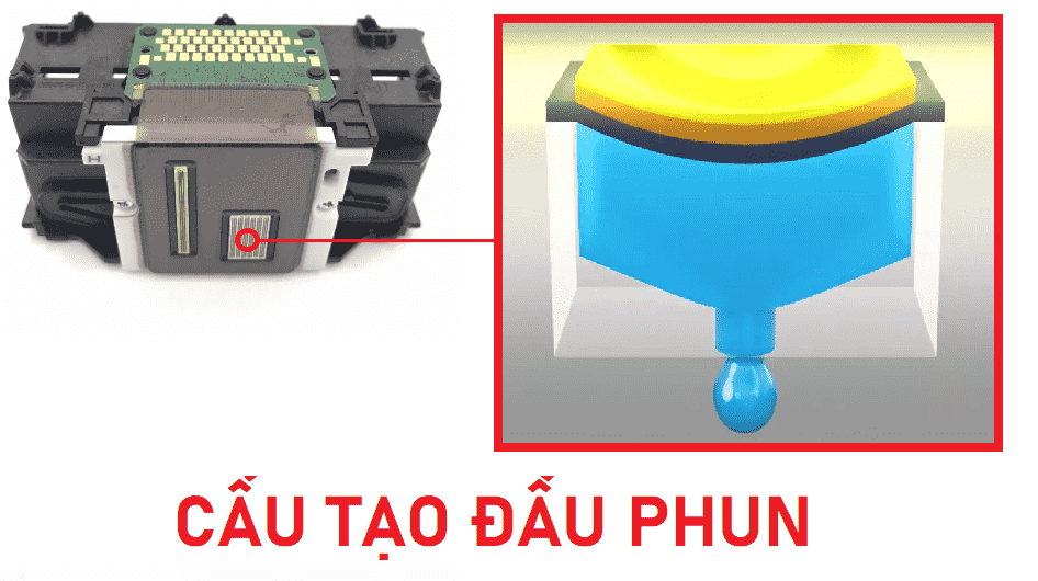 Cau Tao Dau Phun May In Mau Cấu Tạo Đầu Phun Máy In Màu