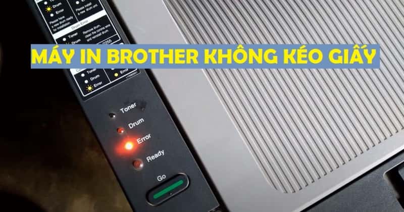 Máy In Brother Không Kéo Giấy